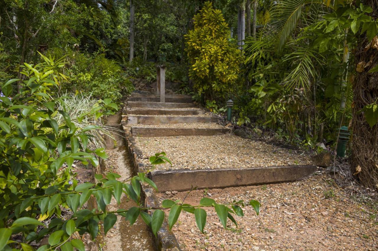 Milkwood Lodge Cooktown Exterior foto